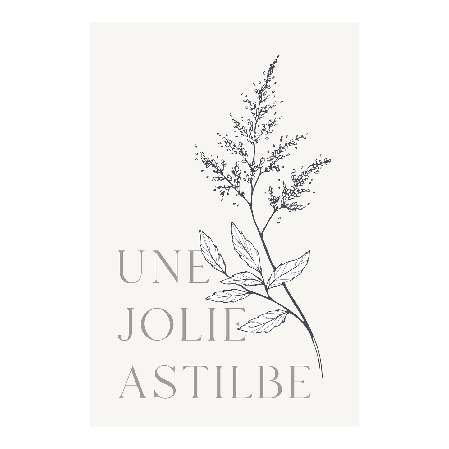 Affiche 12 po X 18 po - Astilbe
