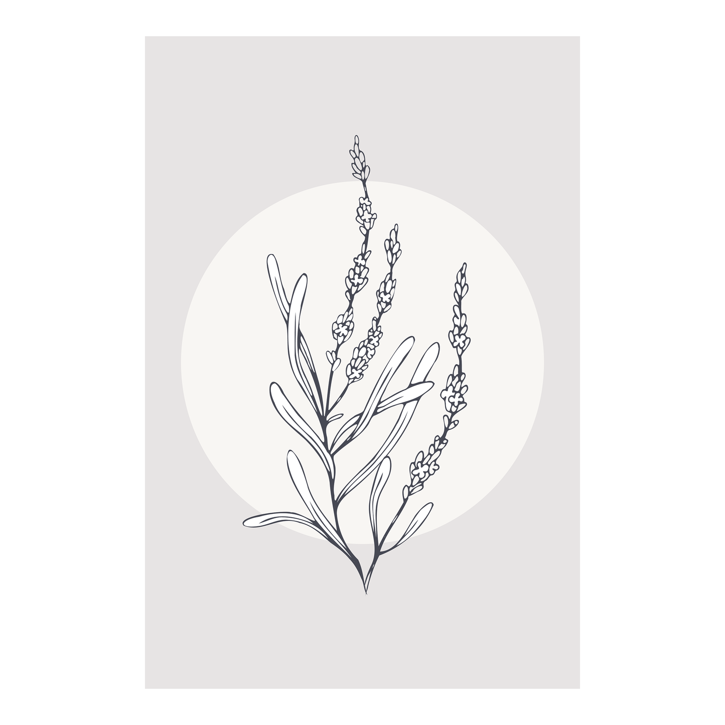 Affiche 12 po X 18 po - Lavande 2