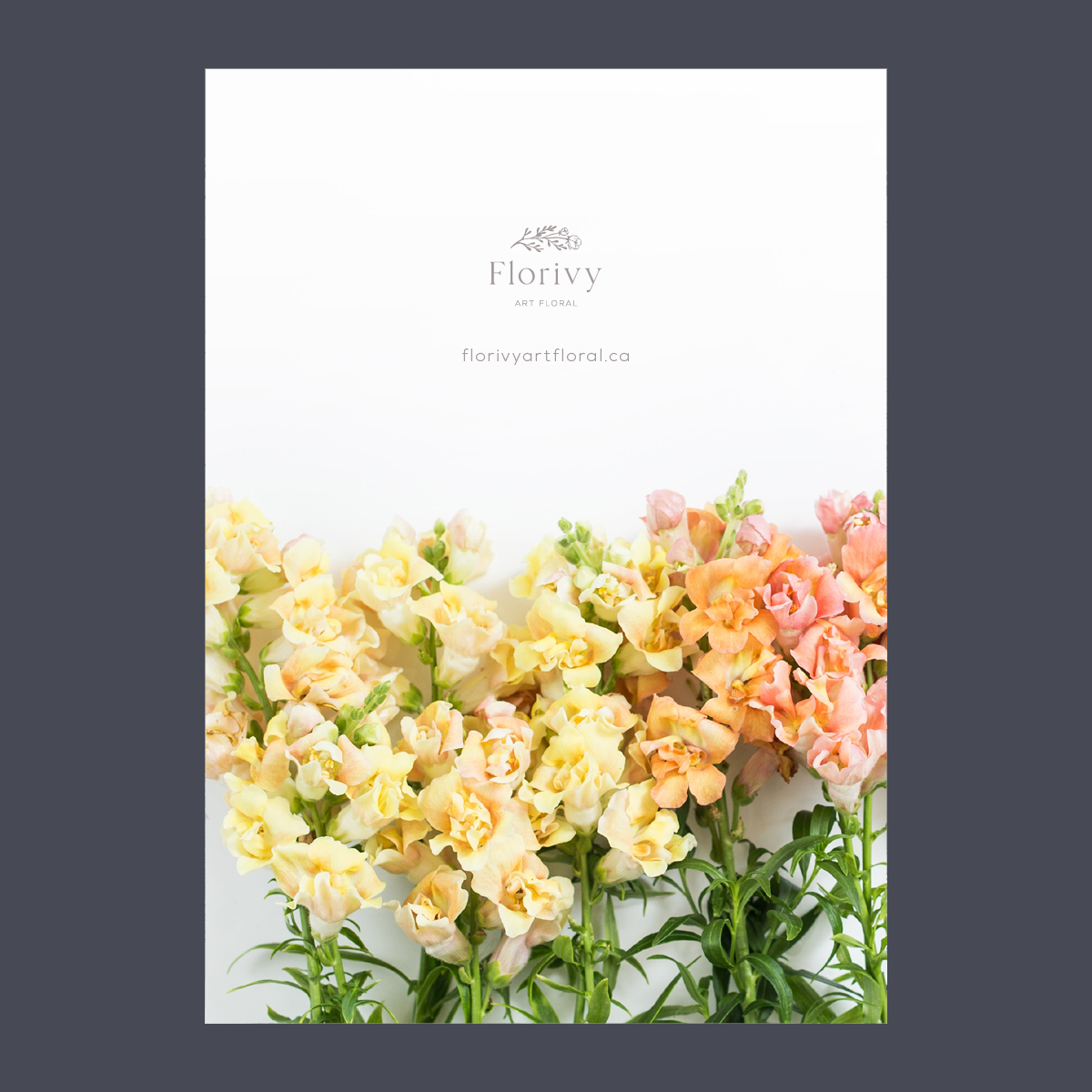 Carte - 5 X 7 - Fleurs