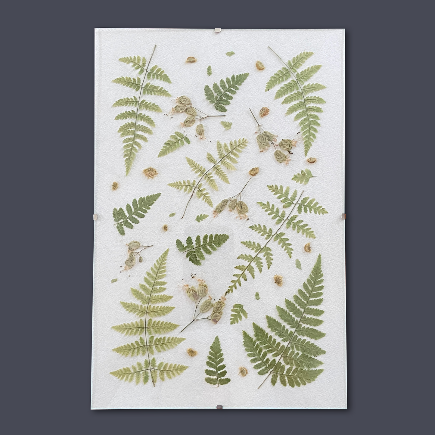 Cadre 8 X 12 - Fougères