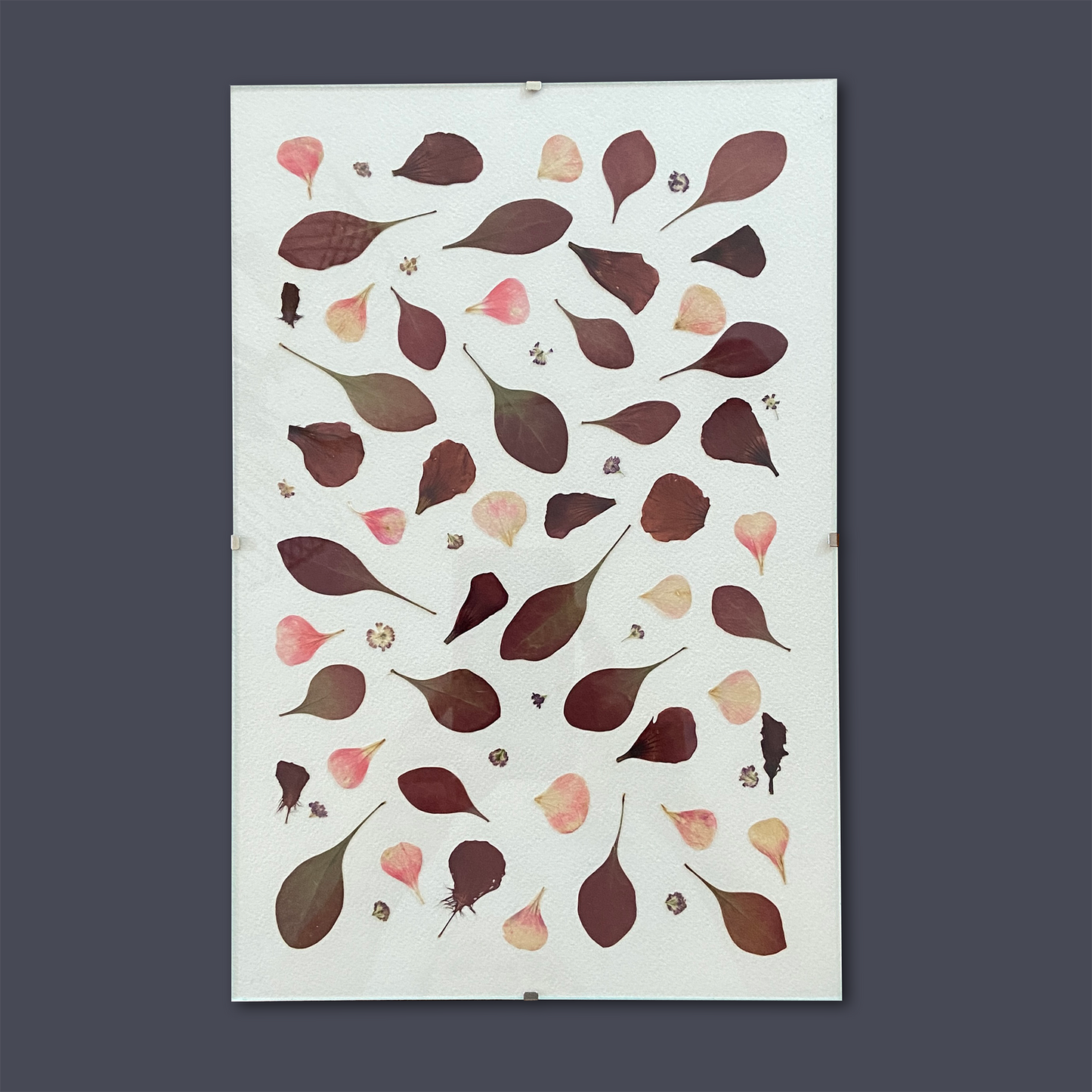Cadre 8 X 12 - Pétales roses