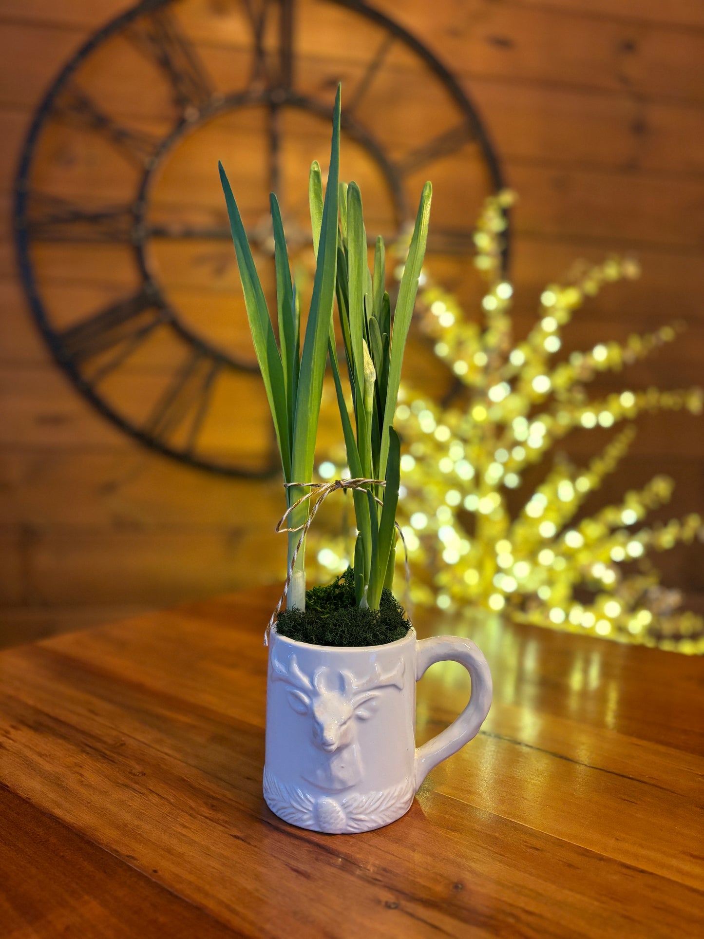 Narcisses Chinese Sacred Lily - Tasse de Noël blanche